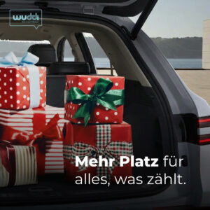 wuddi_genesis carousel_Slide IV